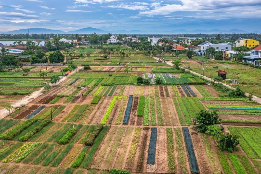 Biệt Thự và Nhà Trọ Hội An HT Ngoại thất bức ảnh